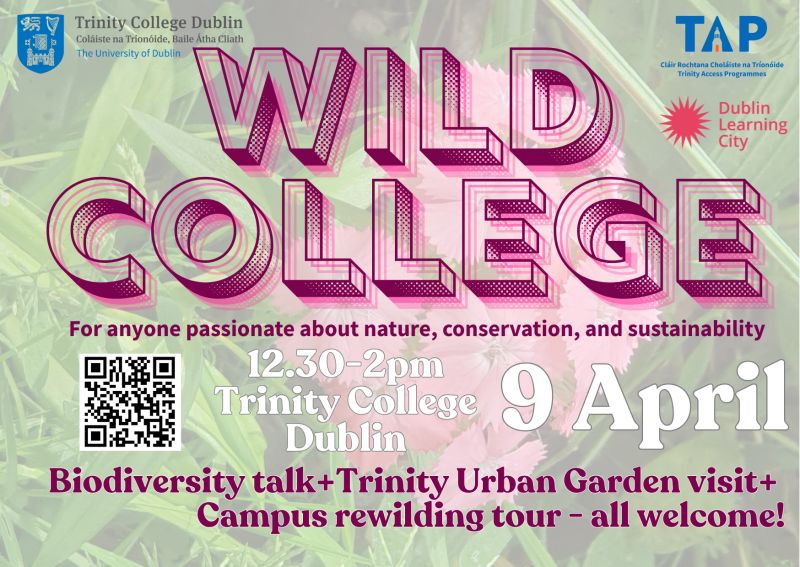 AccessTCD's tweet photo. We can't wait for @DubLearningCity Festival! 🥳  
Free @tcddublin walking tours🚶‍♂️: https://t.co/RCmadhncTL
Wild College #Biodiversity Event 🌱: https://t.co/HiNObbojOr
Plus plenty more free events from the 7th-10th April #DLCFestival2025 #FéileCFBÁ2025 #CreateConnectChange https://t.co/E6uZm2IqCT