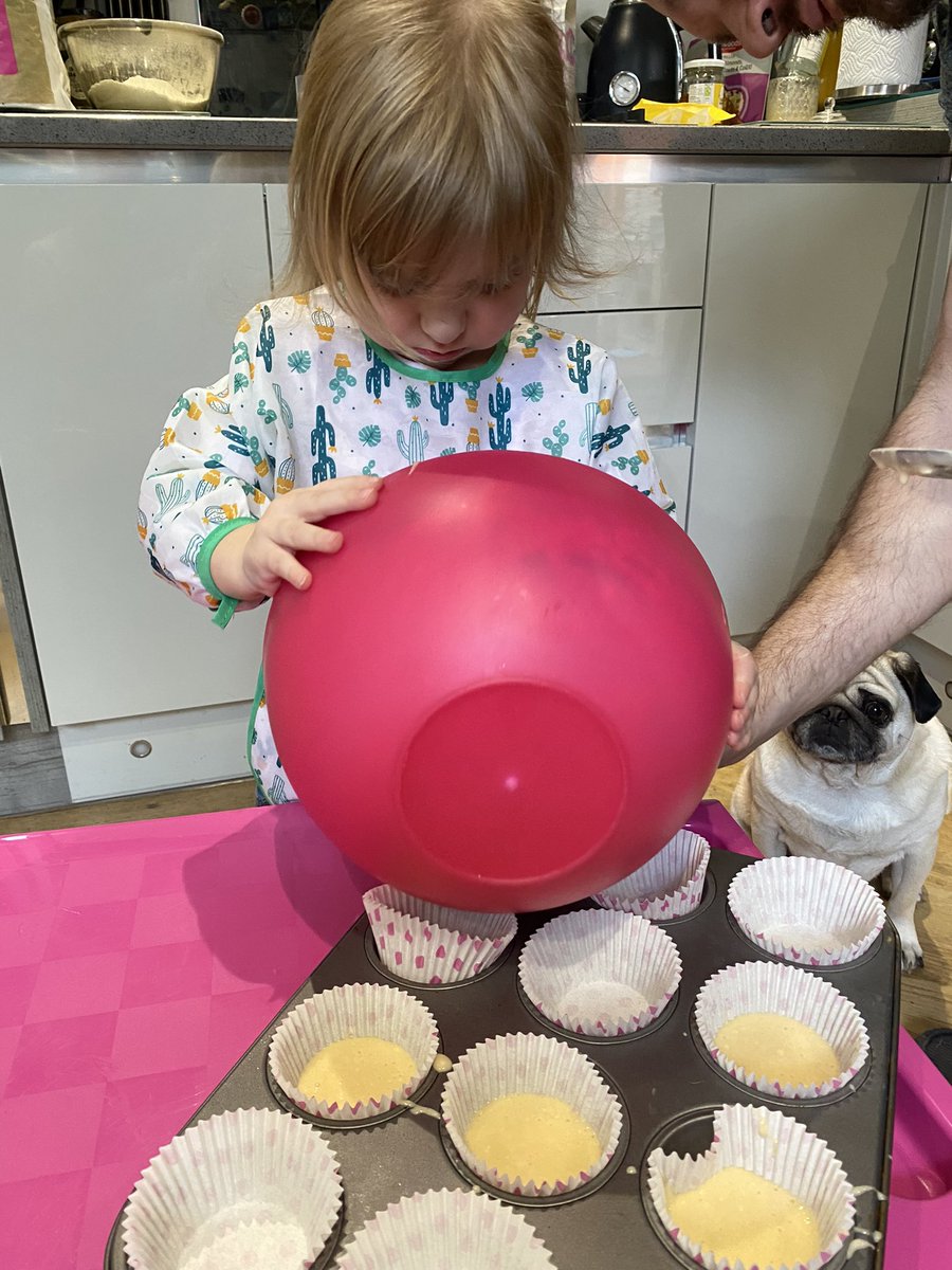 The humans did some baking with the bald puppy today. Buddy kept a close eye on her at all time in case there was anything he could lick