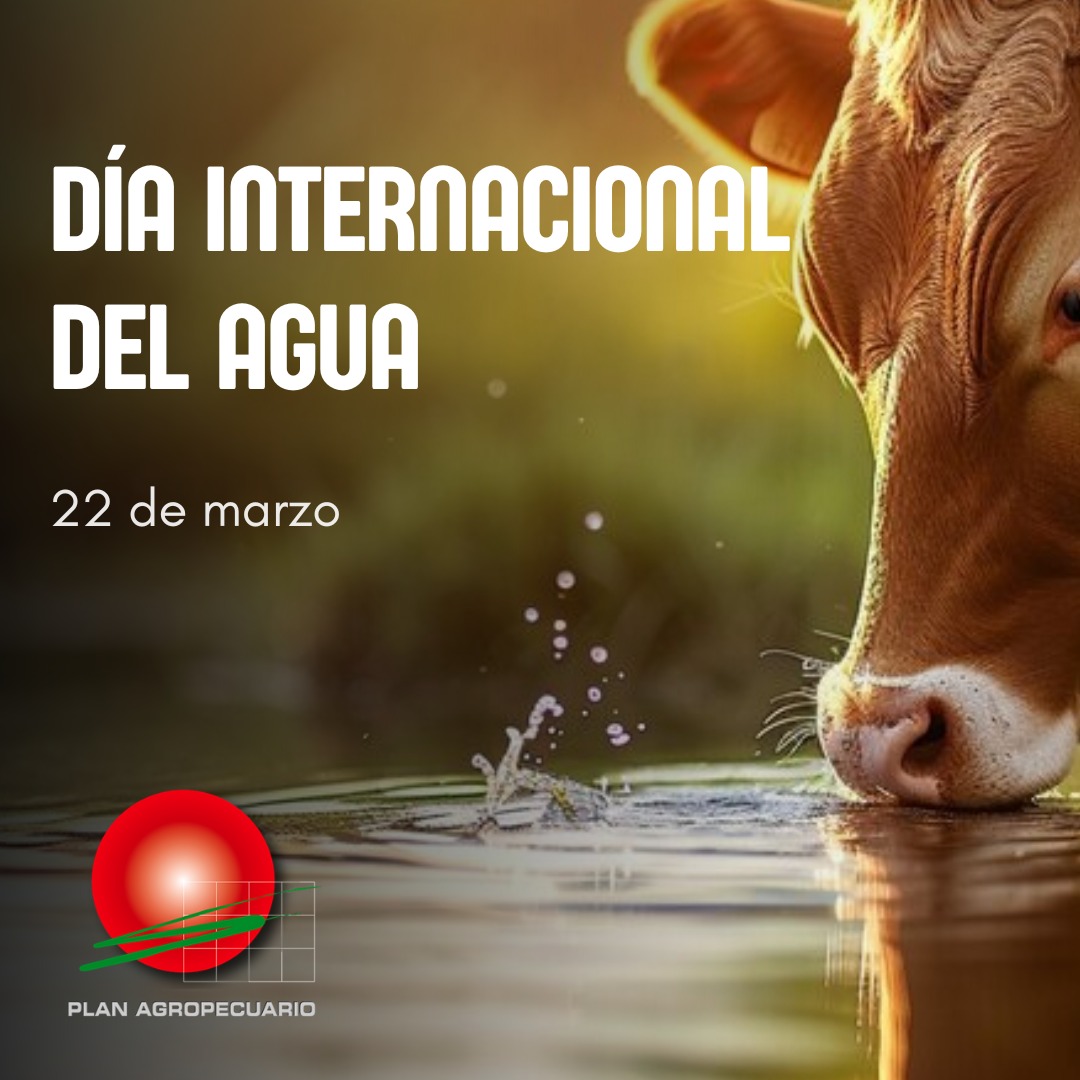 PlanAgro's tweet photo. 22 de marzo - Día Internacional del Agua 💧
Recurso vital para nuestra producción, el campo y el mundo...

#CuidemosResponsablementeElAgua #DíaMundialDelAgua #RecursoPreciadoDelPlaneta #RecursoNatural #Agua #Vida #Ganadería @santisca83 @cmolina411 #PlanAgro https://t.co/xUZqKxLyhk