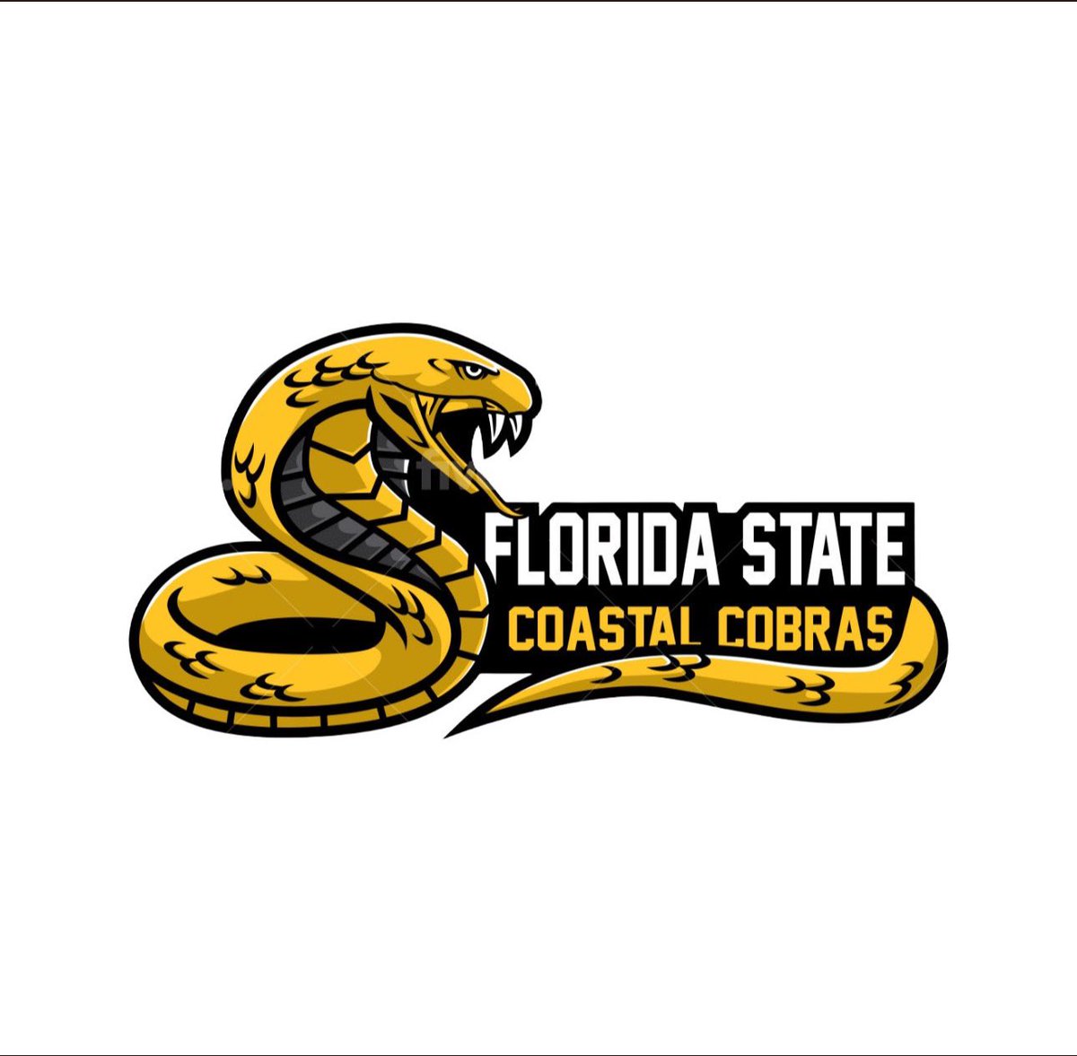 You Want A Offer Show Me Those Highlights 🎥👀
Cobra Nation 🐍