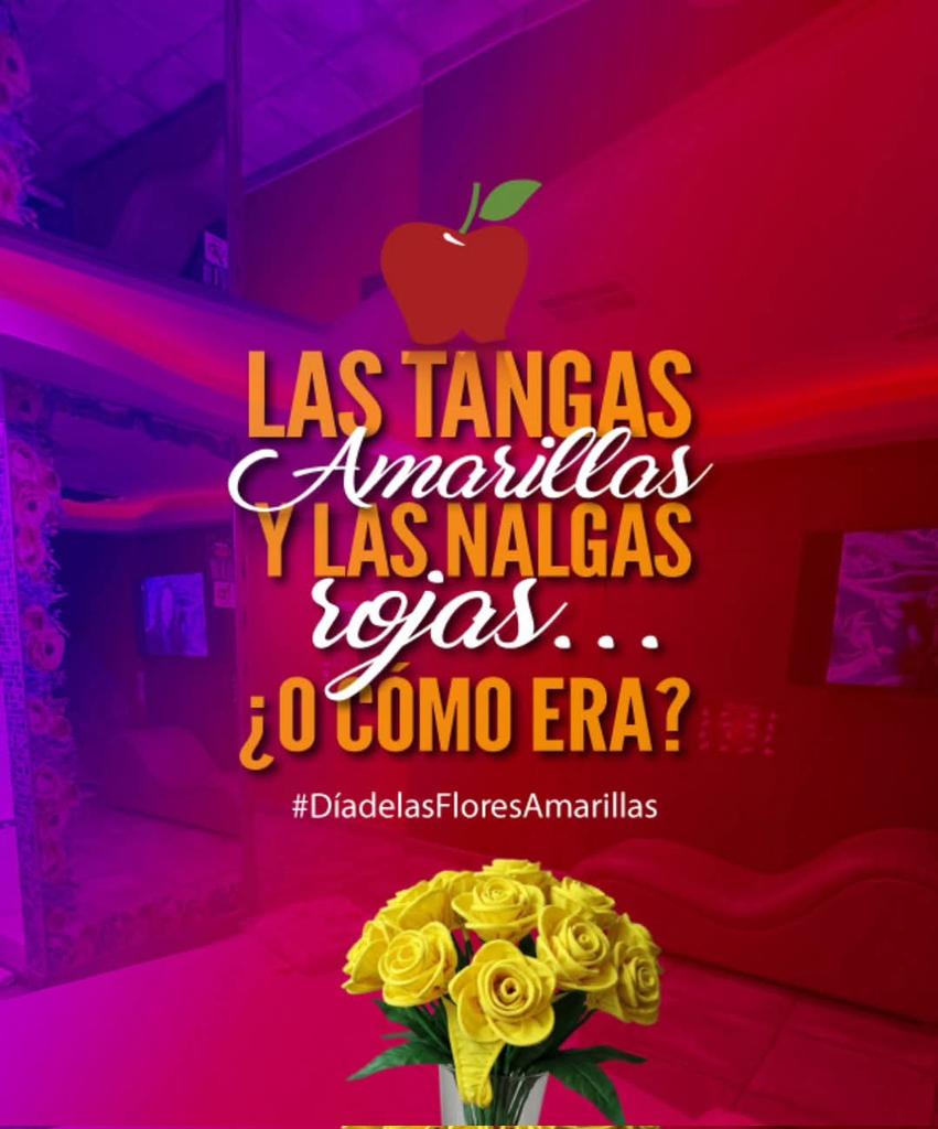 ¿Ya entregaron las amarillas para dejarlas rojas? 🤔🌼
#floresamarillas🌻