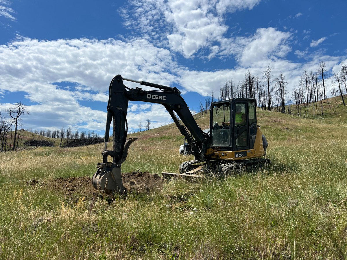 Mast Reforestation tweet media