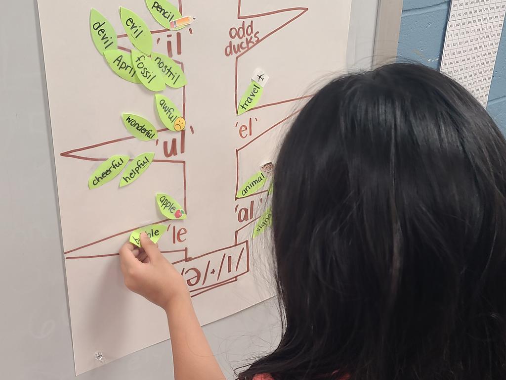 SolleyAACPS tweet media