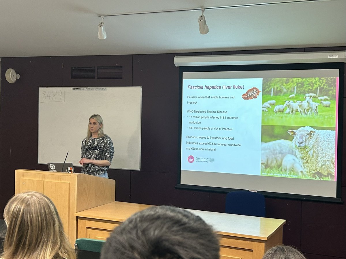 Molecular Parasitology at the University of Galway (@mpl_uniofgalway) on Twitter photo 🦠🌍 Our PhD students are continuing World Parasite Awareness Day!
Aiste is ‘spreading the worm’ to the
<a href="/uniofgalway/">Ollscoil na Gaillimhe | University of Galway</a> Microbiology Society 🦠🧫🔬
#ParasiteAwareness #LiverFluke 🦠🌍 Our PhD students are continuing World Parasite Awareness Day!
Aiste is ‘spreading the worm’ to the
<a href="/uniofgalway/">Ollscoil na Gaillimhe | University of Galway</a> Microbiology Society 🦠🧫🔬
#ParasiteAwareness #LiverFluke