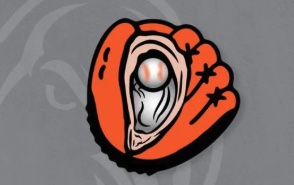 The Verge- An Orioles MiLB Podcast tweet media