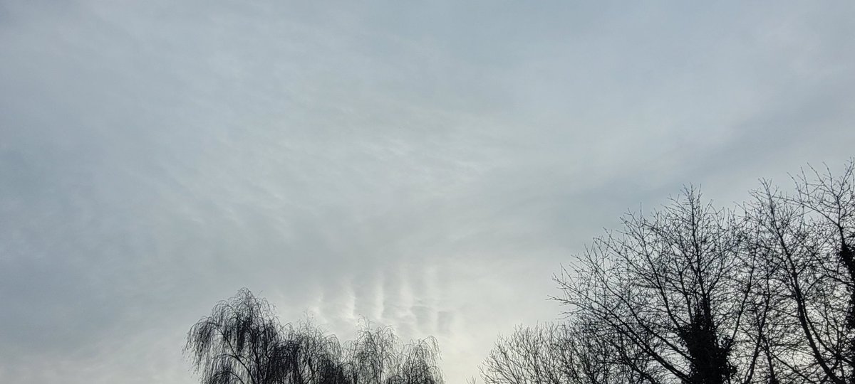 Danger187 tweet media