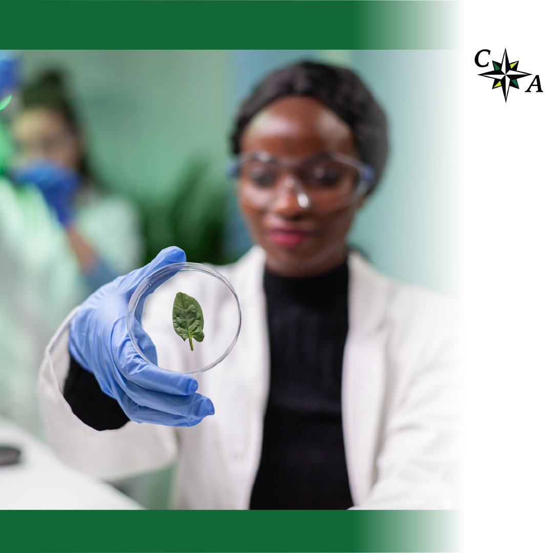 Colmaric_labs's tweet image. Foodborne illnesses can be prevented with rigorous microbial testing. 🦠🔬 Our microbial analysis ensures your food products meet safety standards and avoid costly recalls. #FoodSafety #MicrobiologyTesting