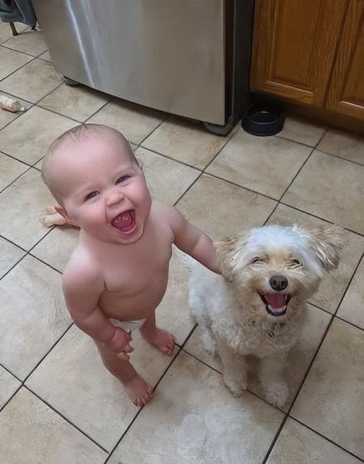 All the happiness of the world in one photo. If Animals Matter to You, Leave a Red Heart😍💕