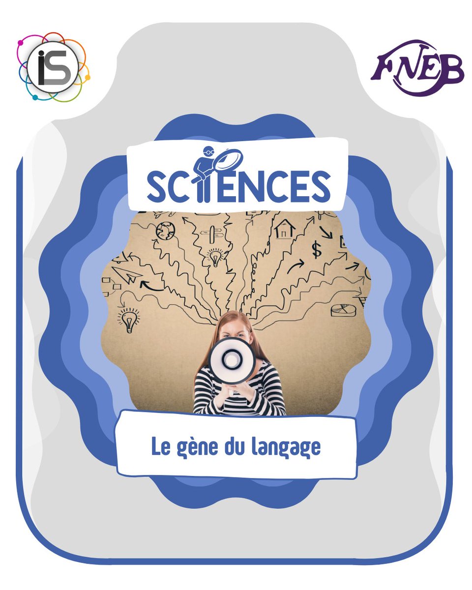 FNEBmono's tweet image. [👨‍🔬 SCIENCES – LE GÈNE DU LANGAGE🧬]

Nouveau post sciences ! On vous parle de l’implication de la génétique dans notre faculté à communiquer. Bonne lecture !
[1/8]
Article rédigé par Laura Cauchy

#fnebmono #sciences #indésciences #funfact #infoscience #langage #genetique #adn
