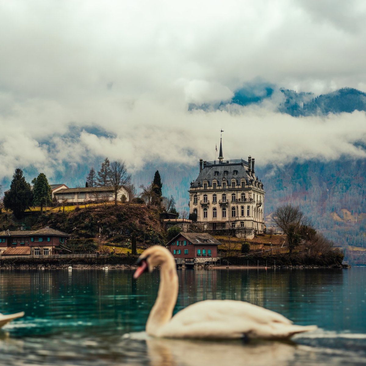 omergulenn's tweet photo. Son tatilim ve en iyi fotoğraflarım

Interlaken, Switzerland https://t.co/z75F2ZQfYr