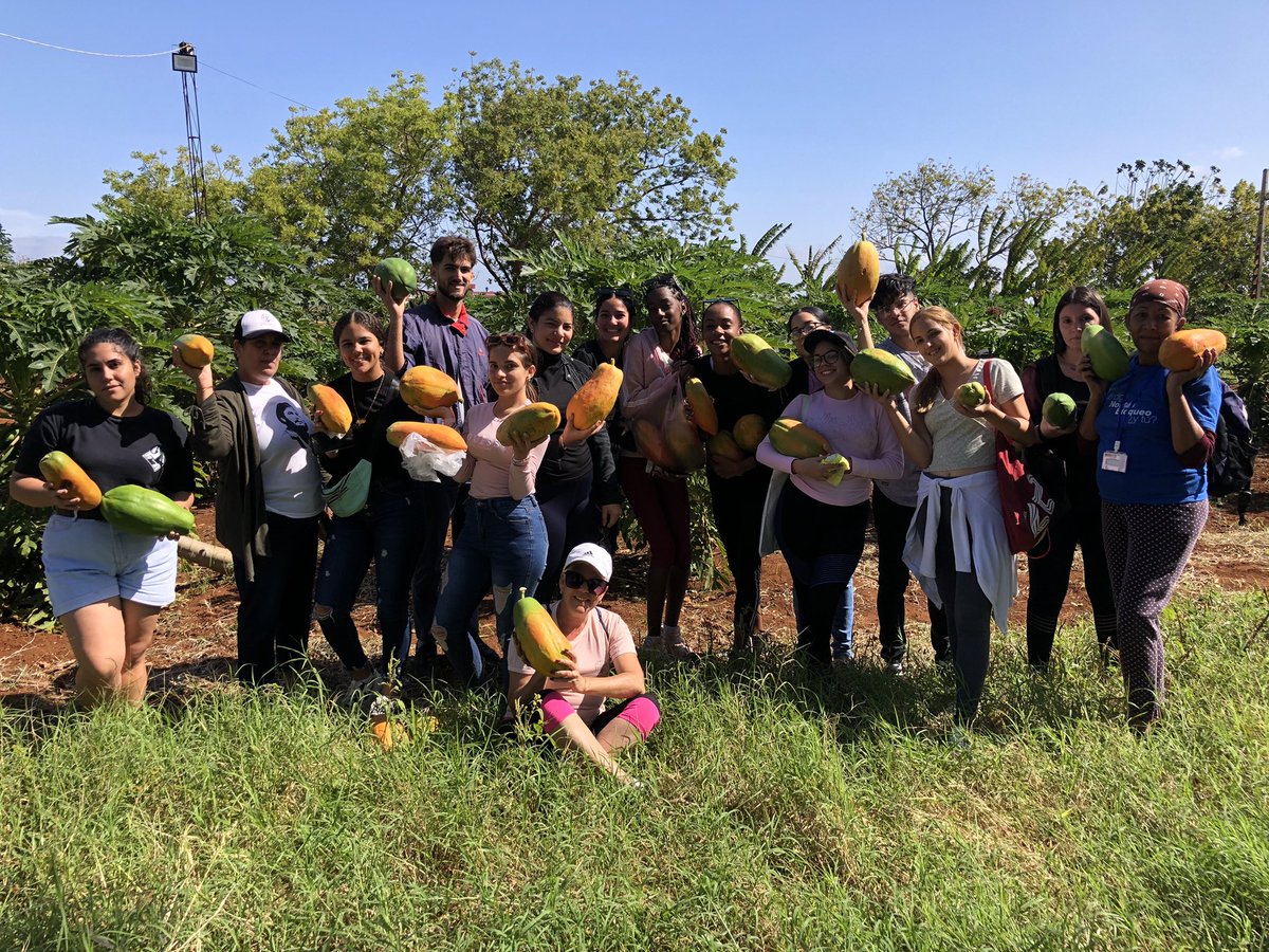 feucm_may's tweet photo. ¡Y SEGUIMOS EN POST X CONGRESO!✊🏻❤️ Seguimos marcando pautas, esta vez en un enriquecedor trabajo productivo 🌱🪨 #FEUdeCuba #SomosFEU AquíEstoyYo #FCMMAY https://t.co/SrX48UzkSm