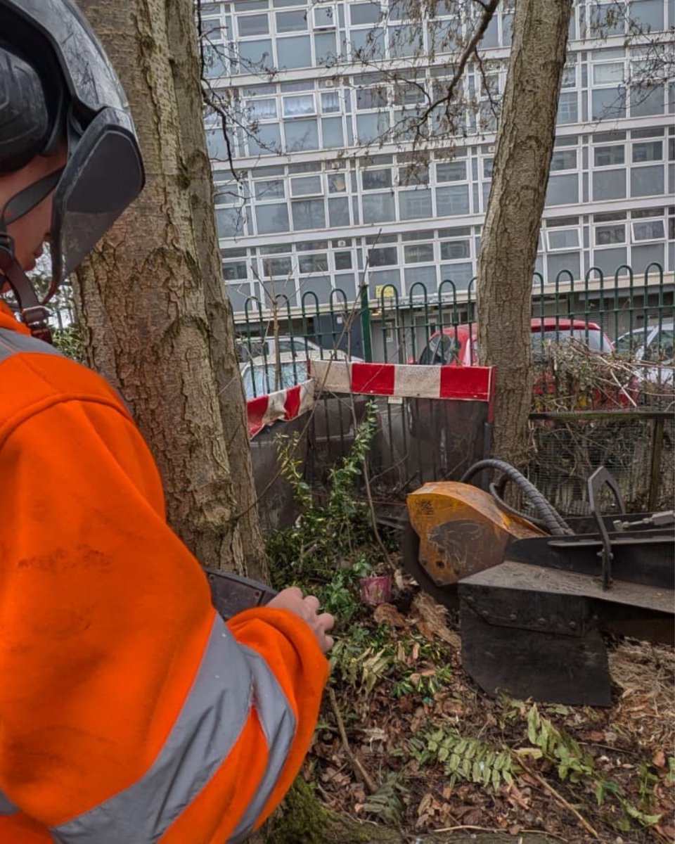 BossBeechwood's tweet image. Precision stump removal with the Predator stump grinder! Efficiently clearing sites and ensuring a smooth finish for future projects. Contact us to discuss your stump removal needs. 💪 

#StumpGrinding #ProfessionalTreeCare #LandscapingSolutions