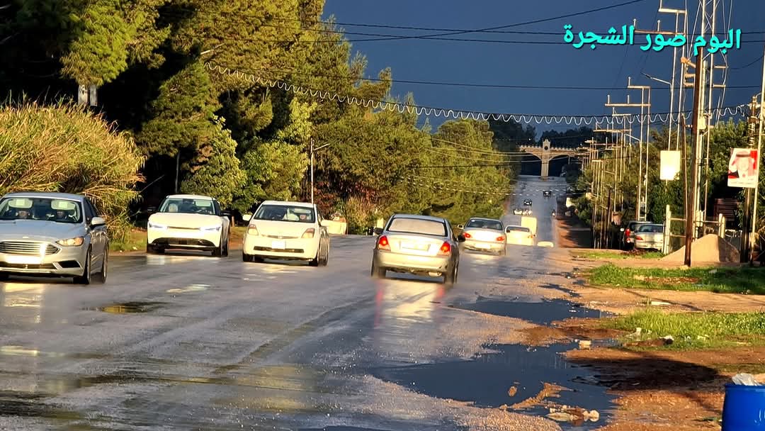 مشهد طريق #الشجرة قُبيل الغروب.