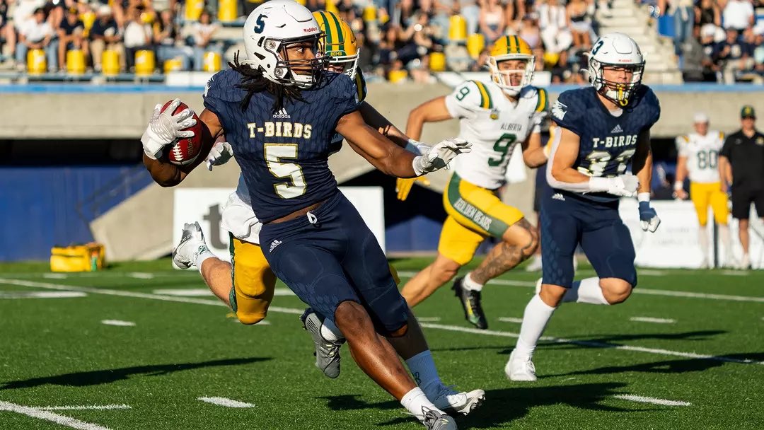 Luca Vervloet tweet media