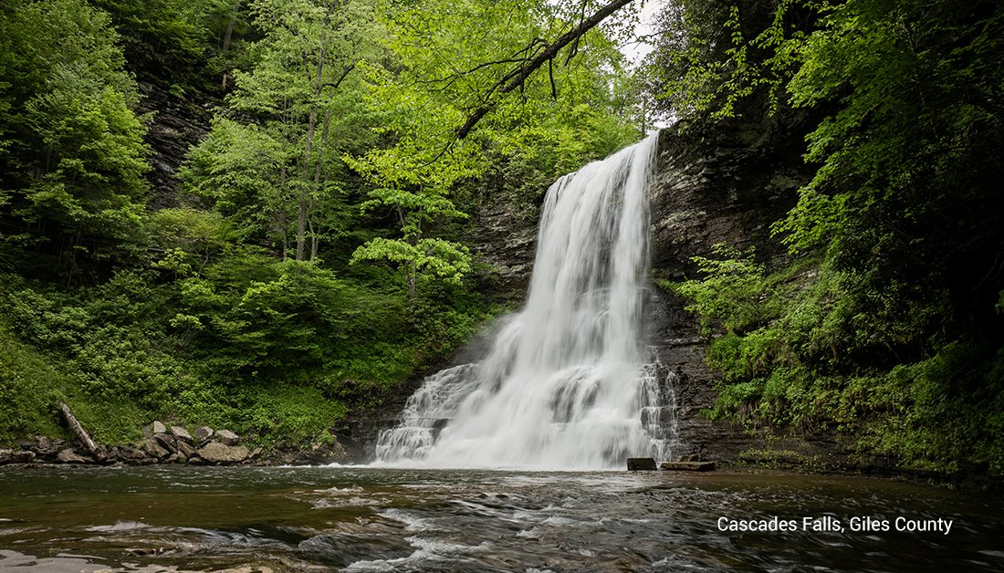 Spring is a fantastic time for a waterfall hike, as the falls are running strong after spring rains. A favorite waterfall is Cascades Falls in <a href="/GilesCoVa/">Giles County, VA</a>. An easy four-mile out-and-back hike lets visitors revel in this 66-foot-tall waterfall. <a href="/VisitVirginia/">visitvirginia</a>