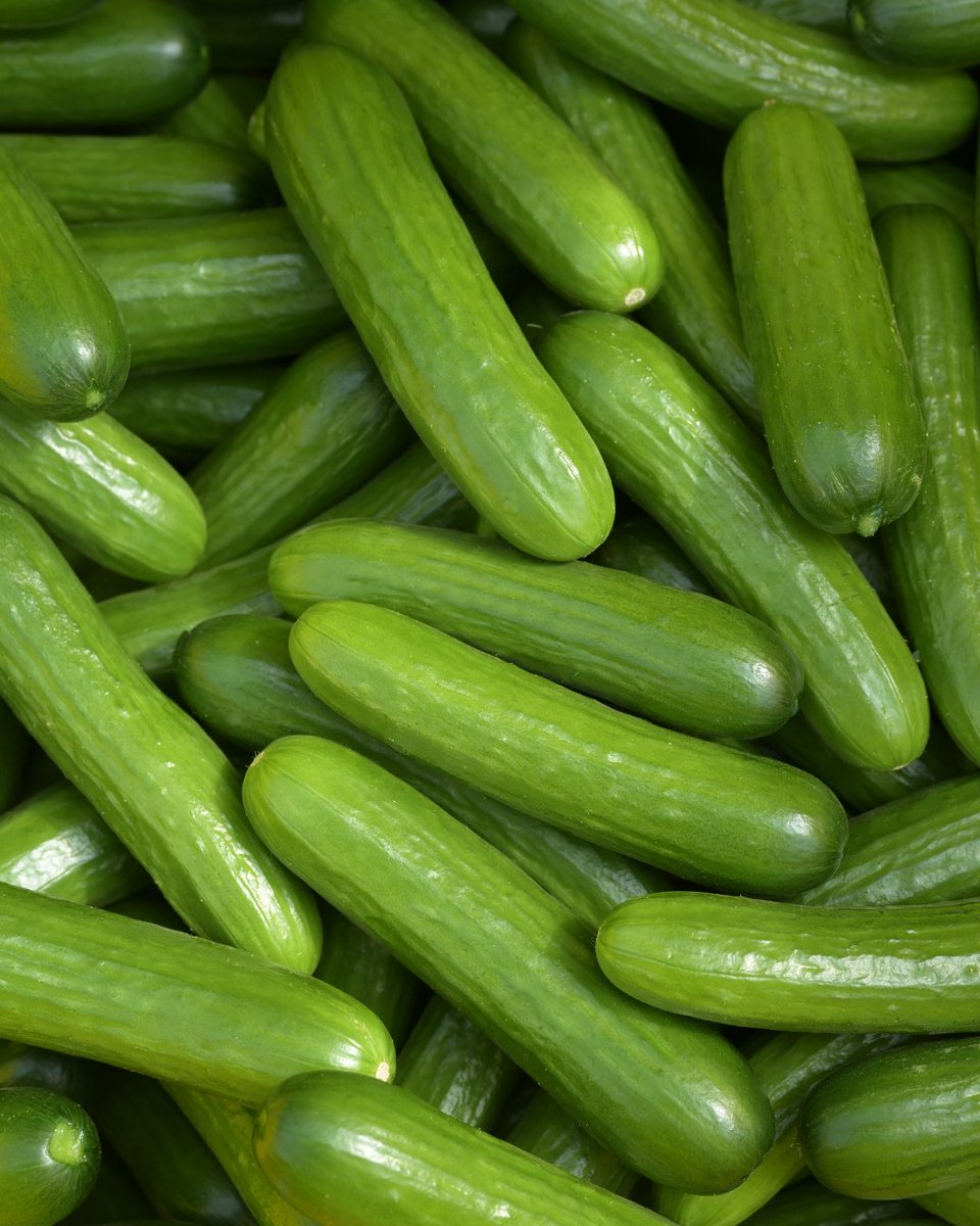 ONgreenhouseVeg's tweet photo. Spring has officially sprung! ๐ท๐ The days are getting longer, the sun is shining brighter, and itโs the perfect time to enjoy fresh, greenhouse-grown veggies. Letโs celebrate the season with fresh, local greenhouse grown vegetables! ๐ฅ๐
#OGVG #GreenhouseGoodness #Spring https://t.co/WhwctkWF3e