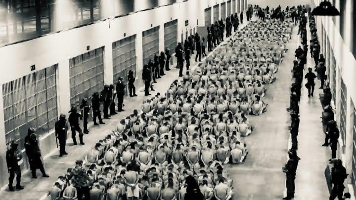 Devin Jackson tweet media