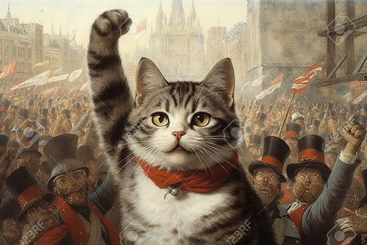 Los gatos somos más.