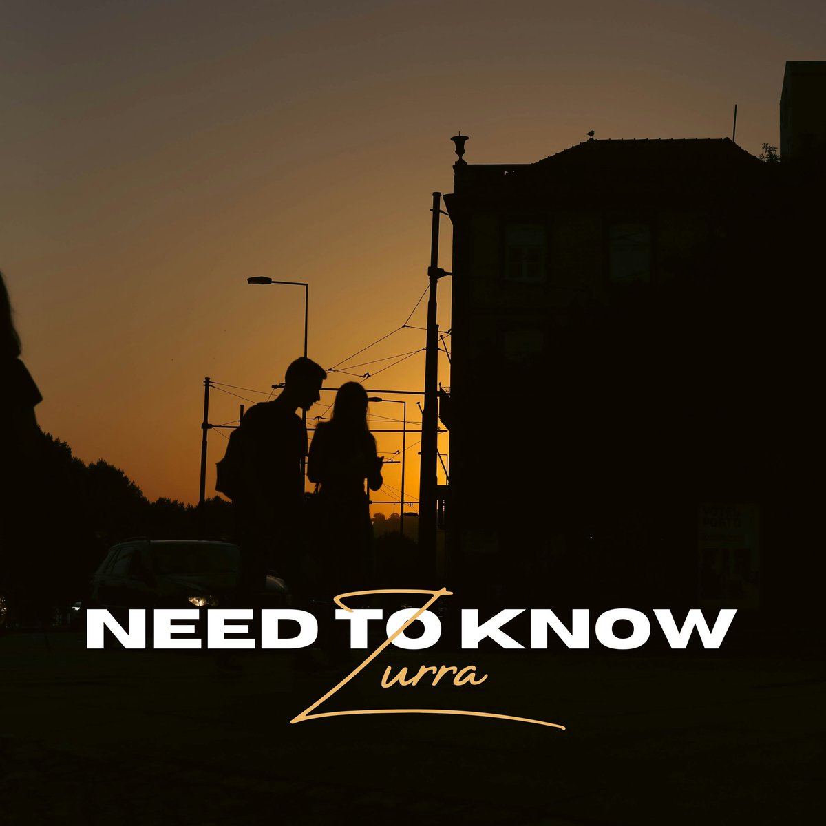 My new single “Need To Know” is out NOW! Buy/Stream it here: vrecords.vivifierrecords.co.uk/ntk