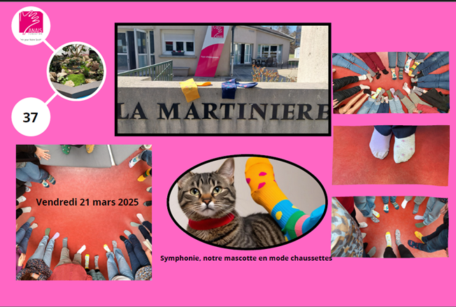 Fondation ANAIS tweet media