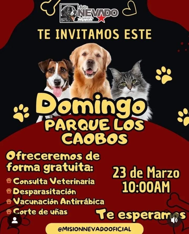 gracon27's tweet photo. #Caracas
#LosCaobos
#23DeMarzo
🐶💛🤎🐶💛🤎🐶💛🤎 https://t.co/Bqrsl6G9XR