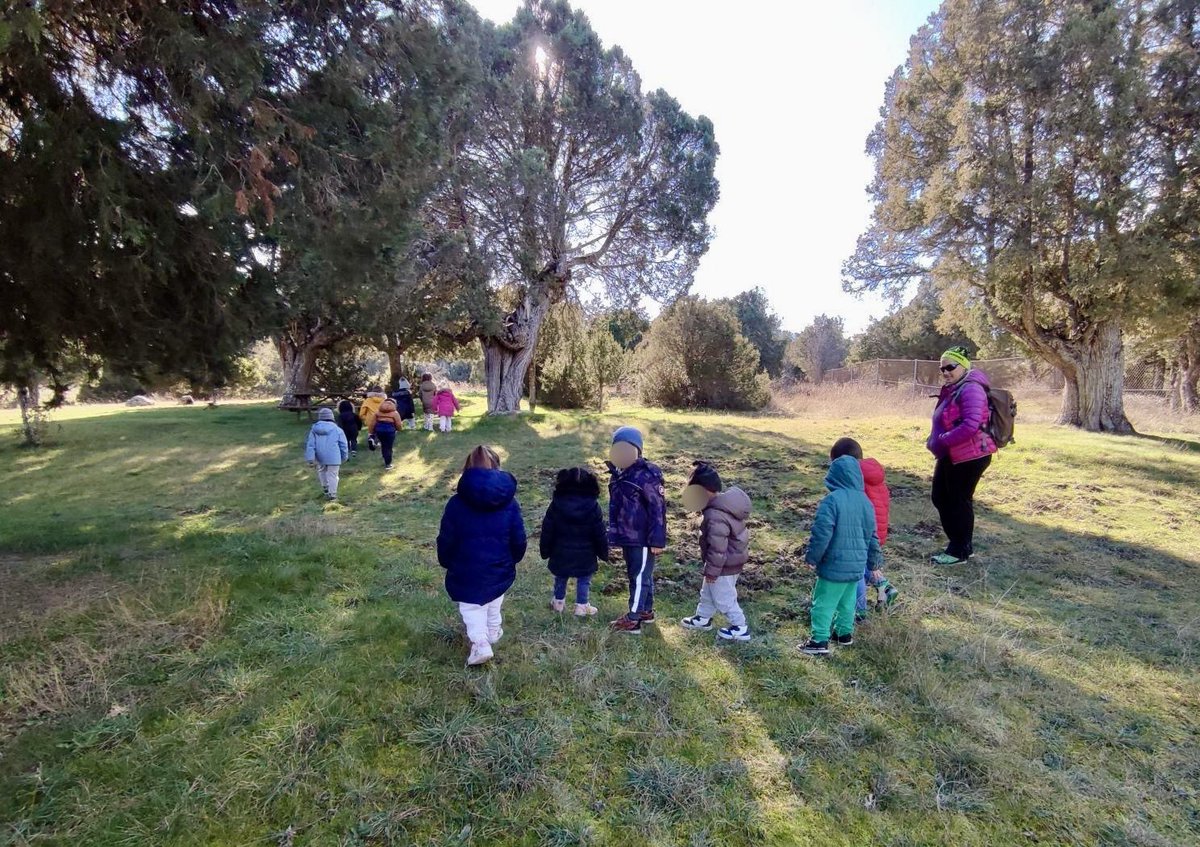 El bosque nos nutre, nos guía y nos enseña en cada jornada “a cielo abierto”.  El bosque nos acoge, nos recoge y nos recuerda que “a veces el bosque canta y es canción”.¡Feliz día de los bosques!
#escuelaruralescuelagenial #diadelosbosques #acieloabierto #centrosCyL
