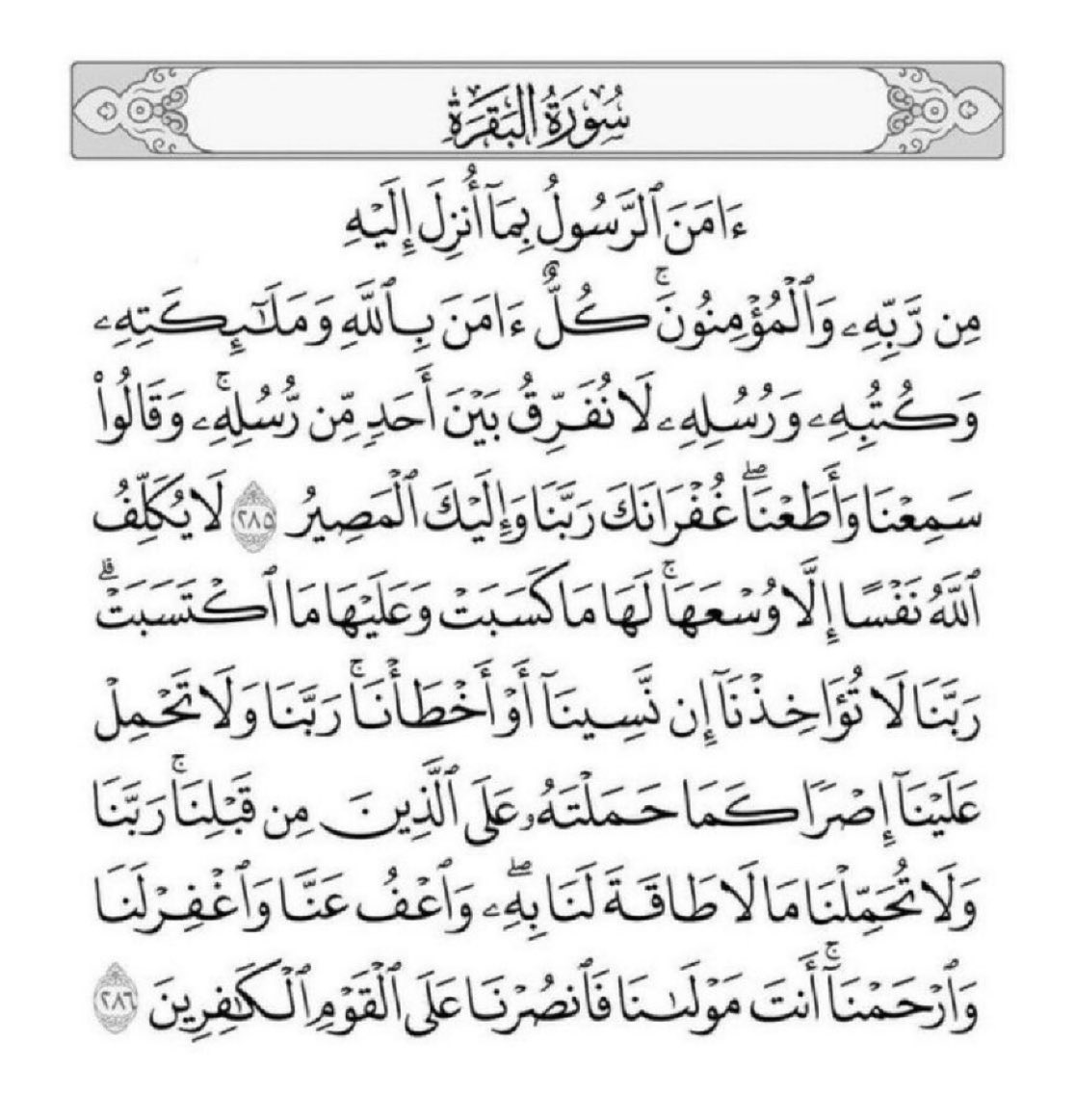 bagyt1's tweet photo. قالَ: النَّبِيُّ -صَلَّى اللَّهُ عَلَيْهِ وَسَلَّمَ- «مَنْ قَرَأَ بِالْآيَتَيْنِ مِنْ آخِرِ سُورَةِ الْبَقَرَةِ فِي لَيْلَةٍ كَفَتَاهُ»، رواه البخار�� 🌿 https://t.co/PECRkP3bac