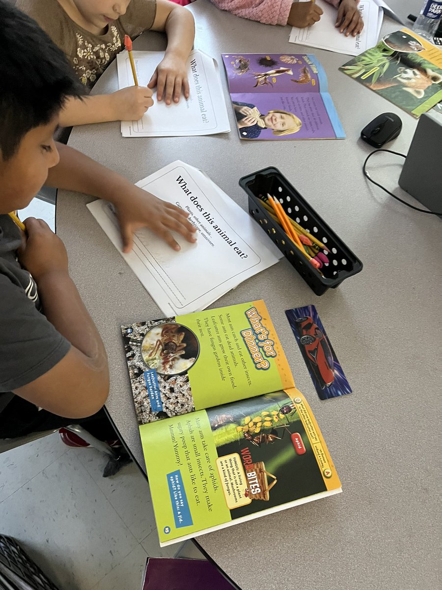 Second graders are researching specific facts about an animal using our National Geographic books!  🦉🦎🐜🦦