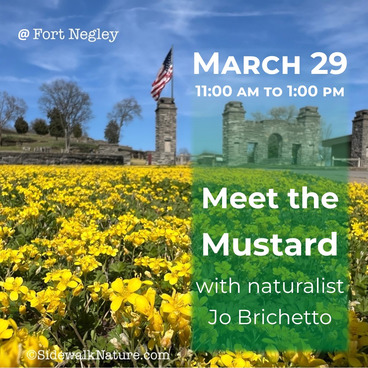 Metro Parks (@metroparksnash) on Twitter photo Celebrate the beginning of spring on the next Nashville Mustard Walk with Naturalist Joanna Brichetto. Stop by <a href="/FortNegley/">Fort Negley Park, a UNESCO Site of Memory</a> on Saturday, March 29th at 11:00 a.m. to see the marvelous bloom in person. RSVP to fortnegley@nashville.gov to reserve your spot!
<a href="/NegleyFriends/">Friends of Fort Negley</a> Celebrate the beginning of spring on the next Nashville Mustard Walk with Naturalist Joanna Brichetto. Stop by <a href="/FortNegley/">Fort Negley Park, a UNESCO Site of Memory</a> on Saturday, March 29th at 11:00 a.m. to see the marvelous bloom in person. RSVP to fortnegley@nashville.gov to reserve your spot!
<a href="/NegleyFriends/">Friends of Fort Negley</a>