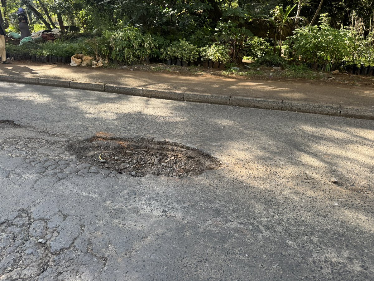 Queen of Zazzau tweet media