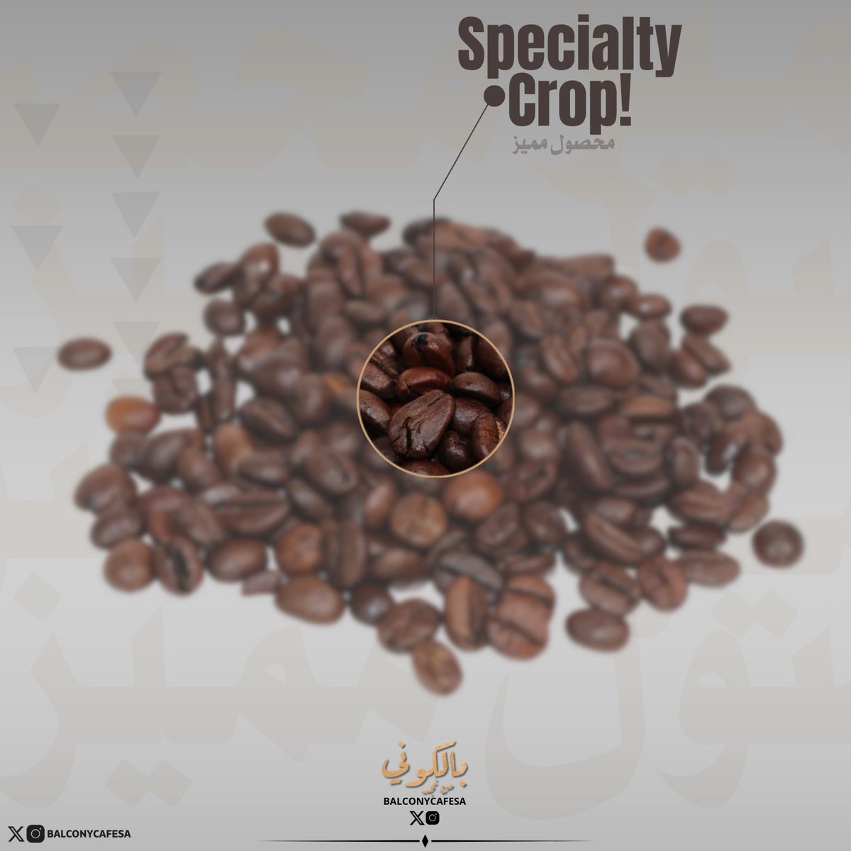 -
قهوتنا… تبدأ من الحبة المختارة بعناية! 🔥☕
.
محصولنا المميز يضمن لك تجربة قهوة استثنائية! كل حبة قهوة مختارة بعناية لتقدم لك طعمًا غنيًا وجودة لا مثيل لها ✨
جرب الفرق بنفسك… وارتقِ بتجربتك القهوية!
.
#محصول_مميز #قهوة_بجودة_عالمية
.
#PremiumCoffee