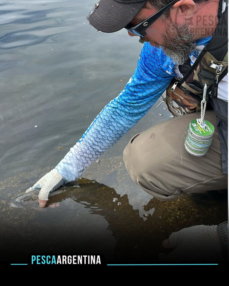Flyfishing en la Patagonia: excelente pesca de truchas en Aluminé.

👉 Nota completa en pescaargentina.com.ar/noticia/flycas…
-
#pesca #flyfishing #truchas #pescadeportiva  #pescariaesportiva #pescaria #pescando #fisherman #pescachile #turismo #turismoargentina #turismopatagonia #paragonia