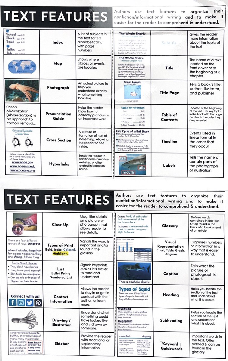 Mr. Boruch tweet media