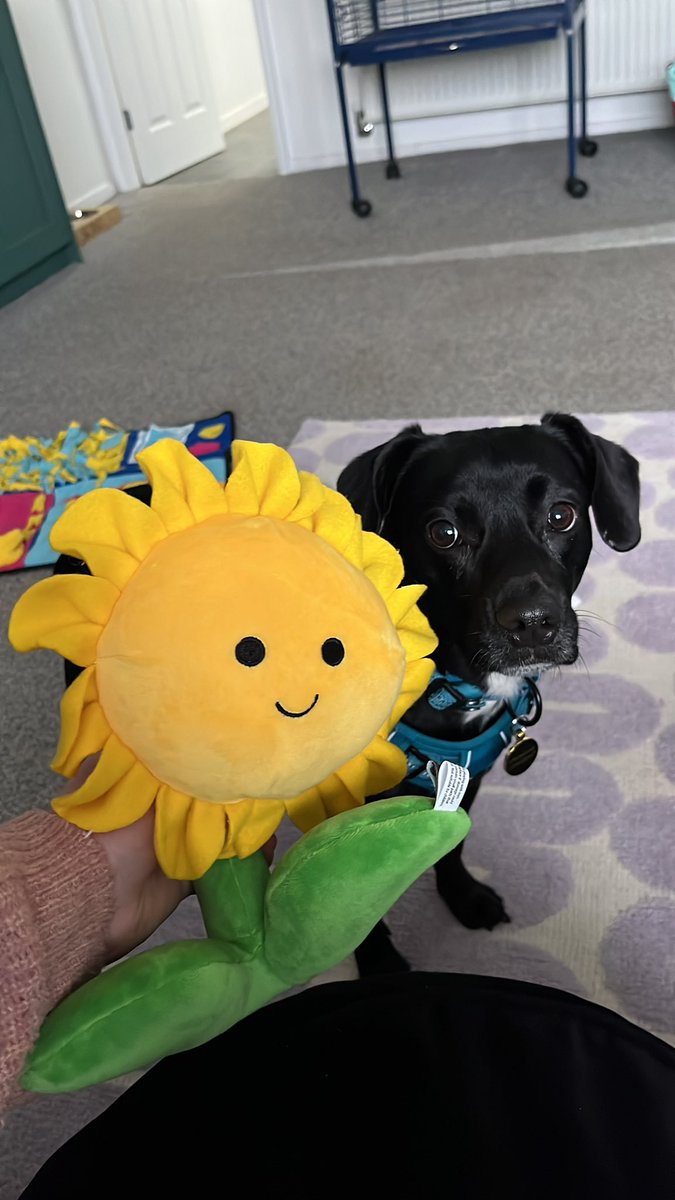 Sam Clark tweet media