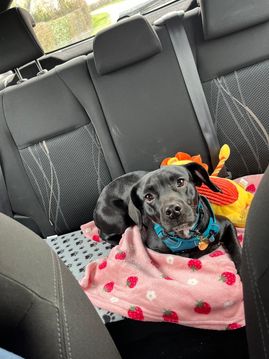 Sam Clark tweet media