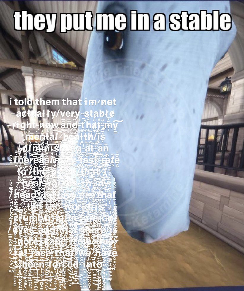 gm^^
tgif^^
i just want to run wild with my horsebros this weekend^^
☆ﾟ･*:.｡.☆†_(ﾟ▽ﾟ*)β☆.｡.:*･ﾟ☆