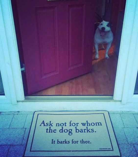 WholesomeMeme's tweet photo. https://t.co/6rcuPEk4kV