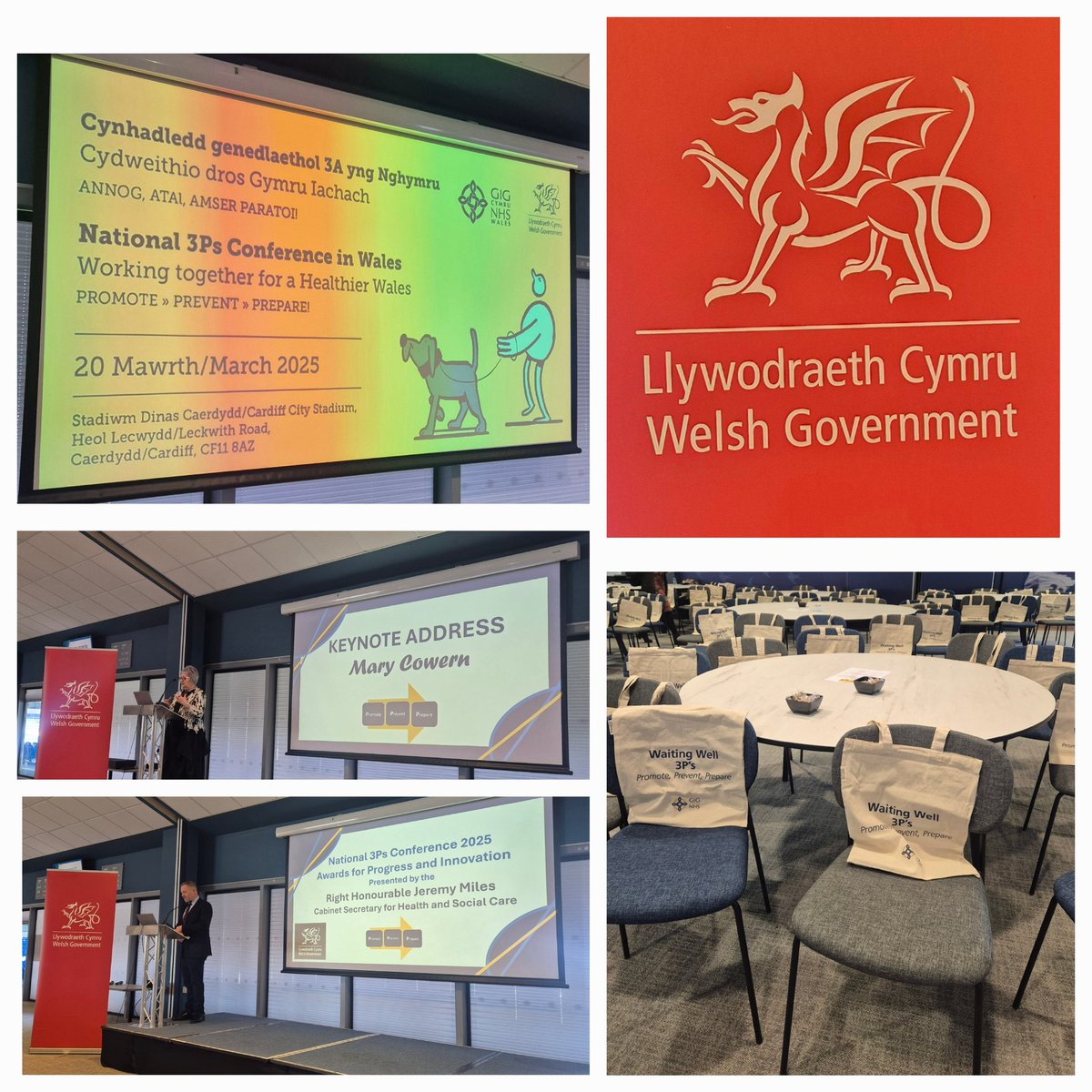 Marilize tweet media