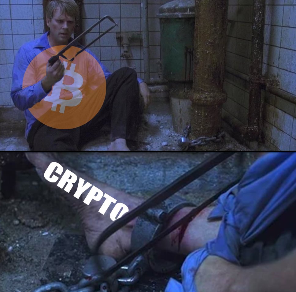 cellarSQUIDc's tweet image. some sweet day. . .Bitcoin will be freed of the parasites.
&amp;amp; humanity can begin to build on pure truth.
the butterfly must shed its cocoon.
#BitcoinNotCrypto 🦋