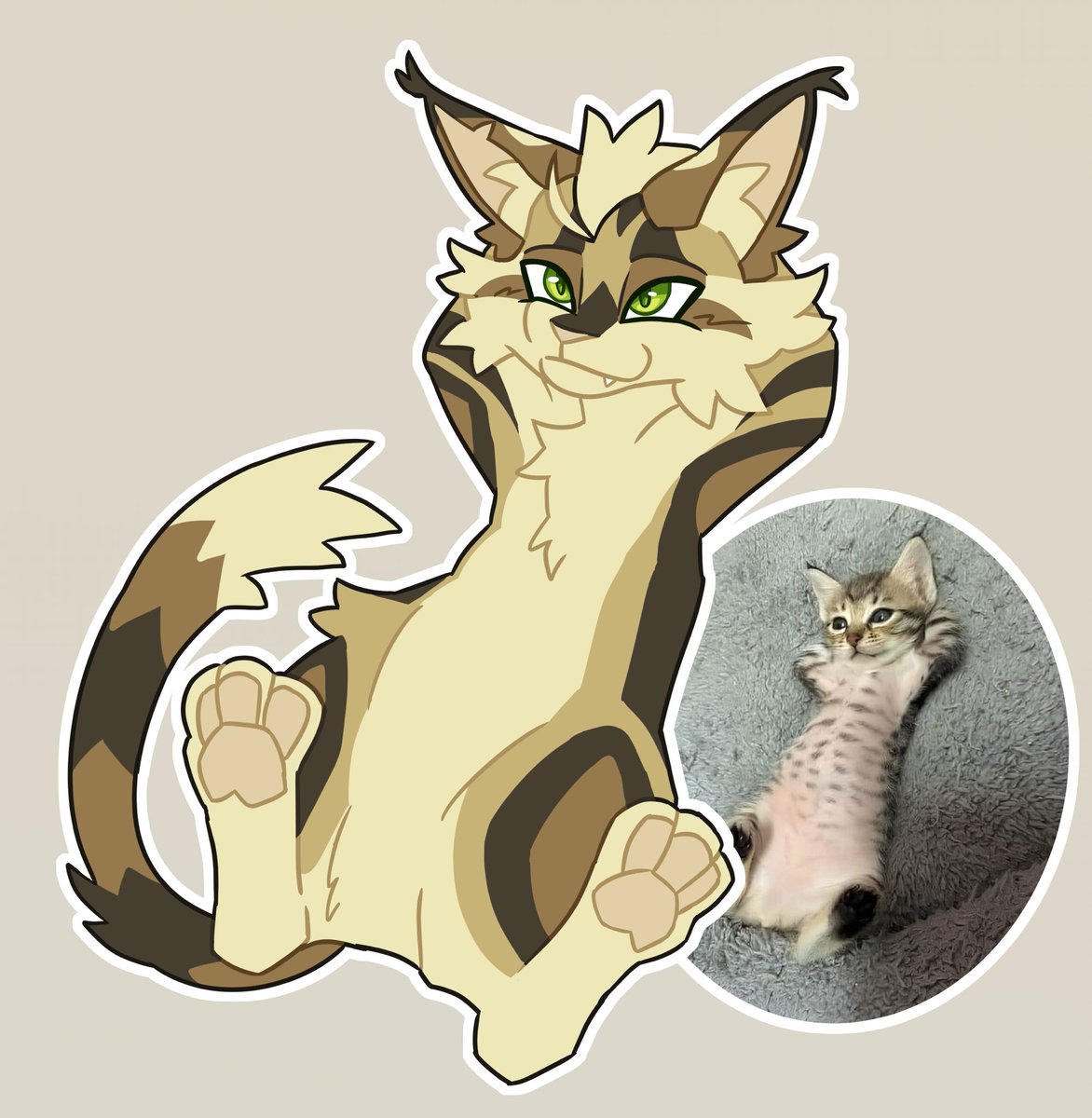 polygonyall's tweet photo. Longtail warrior cats but he's a silly kitty https://t.co/zMlyDXtK1S