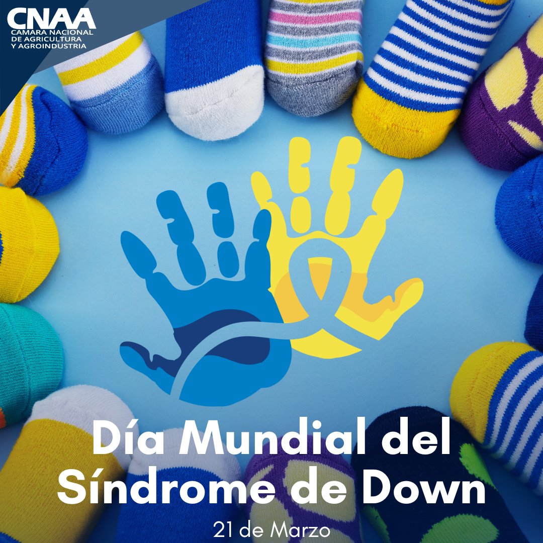 Hoy, 21 de marzo, la Cámara Nacional de Agricultura y Agroindustria se une a la conmemoración del Día del Síndrome de Down, reafirmando su compromiso con la inclusión y el respeto.