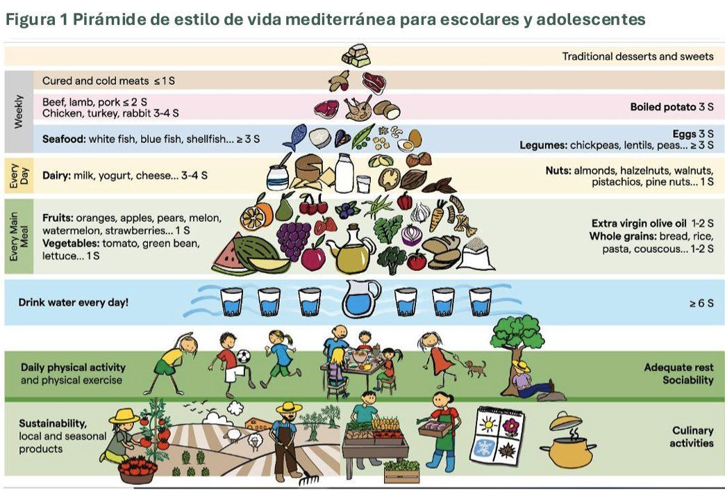 SEMERGEN_CV (@semergen_cv) on Twitter photo 📄La Nueva Pirámide Mediterránea para jóvenes y niños: una herramienta clave de salud para la prevención de la obesidad y enfermedades cardiometabólicas asociadas en un entorno sostenible.
buff.ly/dytvBEJ
<a href="/NUTRI_SEMERGEN/">GdT NUTRICIÓN SEMERGEN</a> <a href="/DocJMFernandez/">Dr. José M Fernández</a> <a href="/Aromerosecin/">Anny A. Romero Secin</a> 📄La Nueva Pirámide Mediterránea para jóvenes y niños: una herramienta clave de salud para la prevención de la obesidad y enfermedades cardiometabólicas asociadas en un entorno sostenible.
buff.ly/dytvBEJ
<a href="/NUTRI_SEMERGEN/">GdT NUTRICIÓN SEMERGEN</a> <a href="/DocJMFernandez/">Dr. José M Fernández</a> <a href="/Aromerosecin/">Anny A. Romero Secin</a>