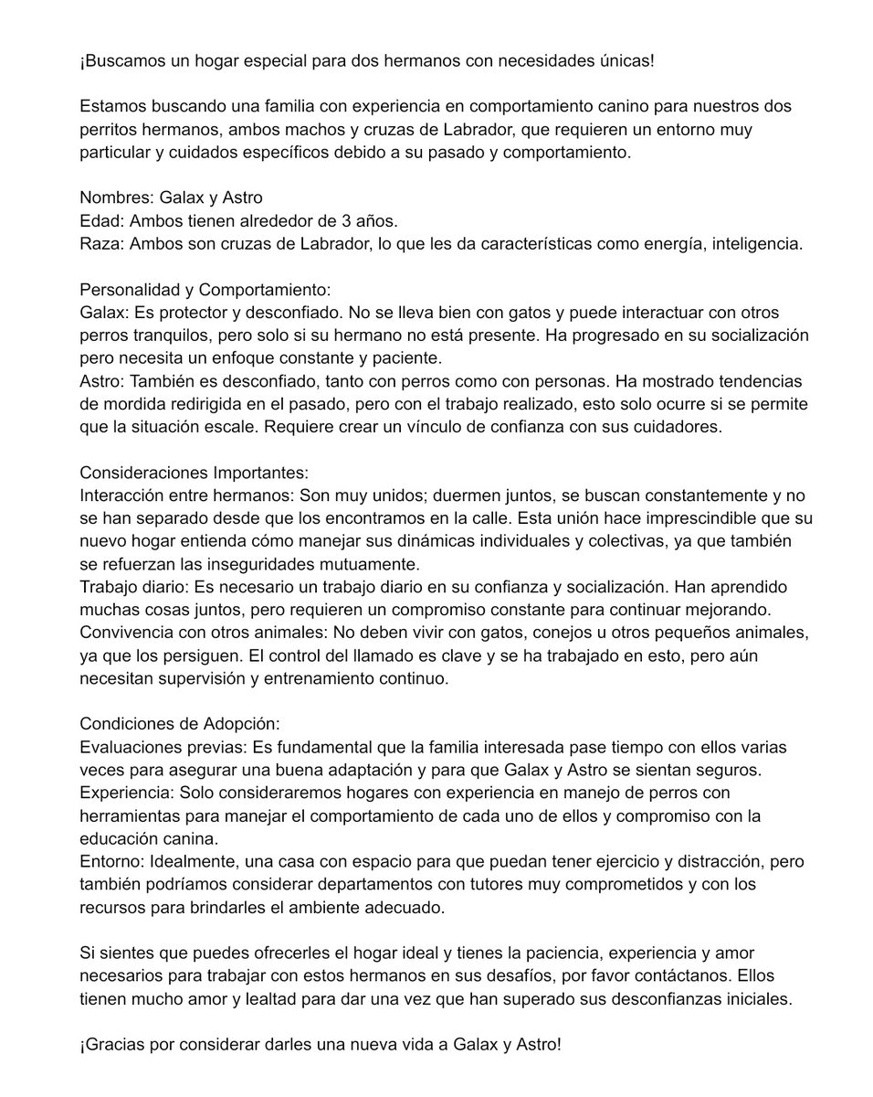 Nyu_umi's tweet image. #AdopciónEspecial Galax &amp;amp; Astro
Los gemelitos han pasado por cosas que no se imaginan, recuerdo perseguirlos y buscarlos por horas, llorar por no encontrarlos, pasaron por enfermedades fuertes en la calle y cuando tuvieron refugio los seguían molestando. Sé que ya no los había