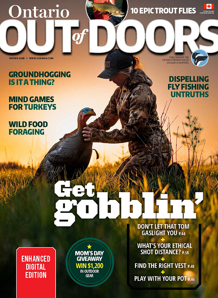 Ontario Out Of Doors tweet media