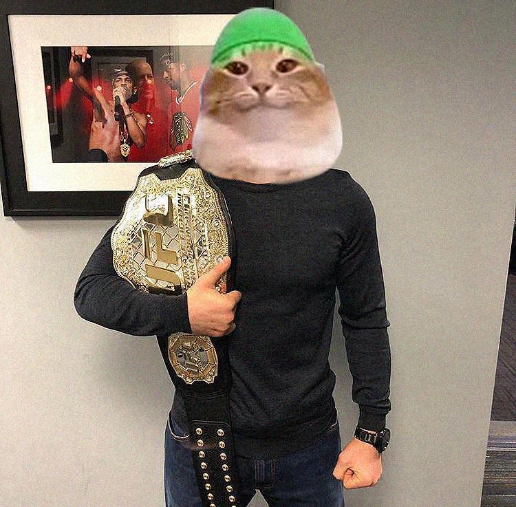 BNB’s next 100x fighter! 🏆🐱

$TABIBI