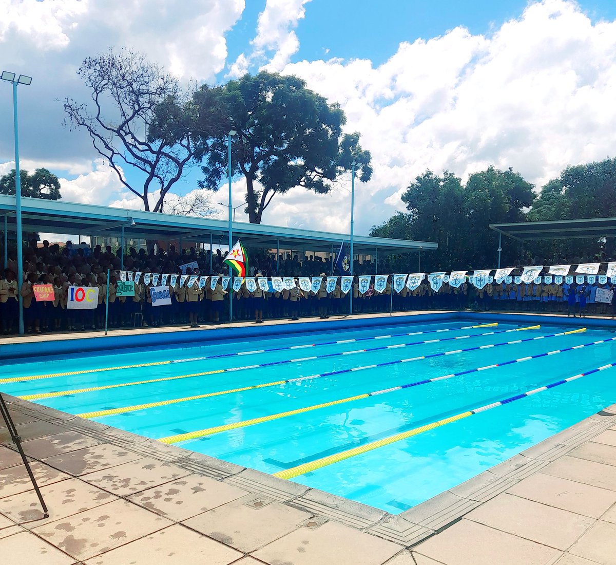 Sharon Mazingaizo tweet media