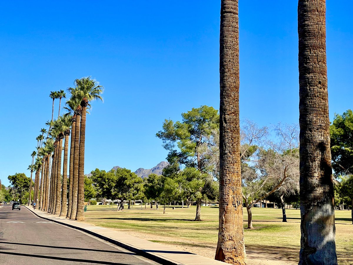 SubduedSnarl's tweet photo. Royal Palm Park aka #ButlerPark
w/ #SquawPeak aka Piestewa Peak
in the background๐ดโฐ๏ธ
#Photography https://t.co/pNxi3xTEfz