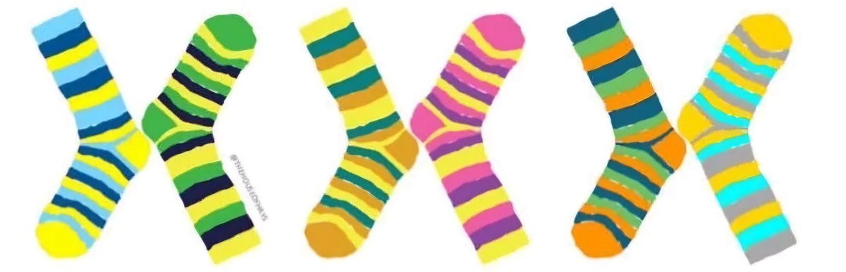 No queremos dejar pasar la ocasión para recordar que hoy celebramos el #DíaMundialSindromeDown.

🔊 Calcetines desparejados, el valor e importancia de la diversidad.
