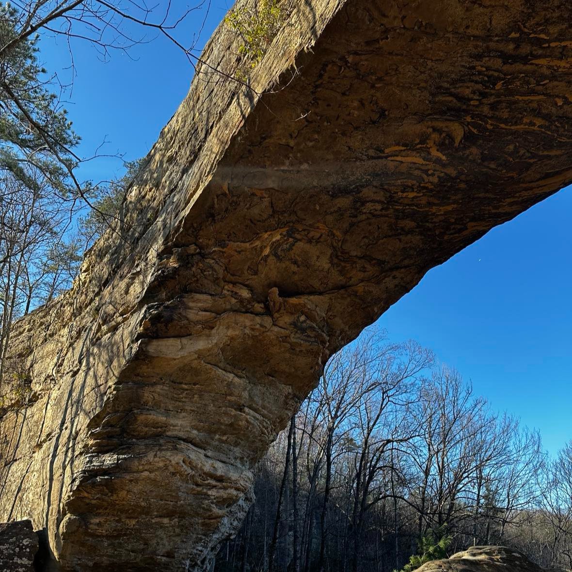 At last week's Cross-Cultural Workshop UK Students from all around the globe visited Red River Gorge. The workshop is a wonderful annual program where students from an array of cultures get away for the weekend and explore Kentucky's natural beauty.