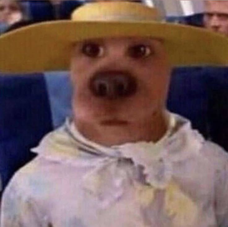 Me quedé viendo el Stream de raptor y ya voy tarde para la uni